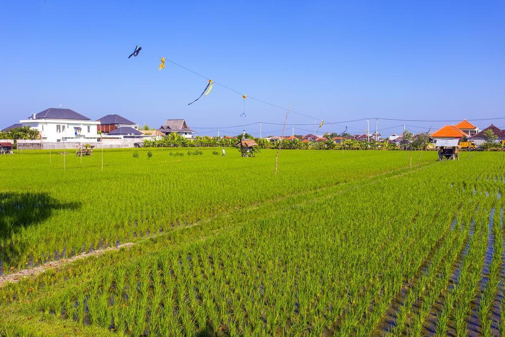Big Brother Surf Inn Canggu Dış mekan fotoğraf