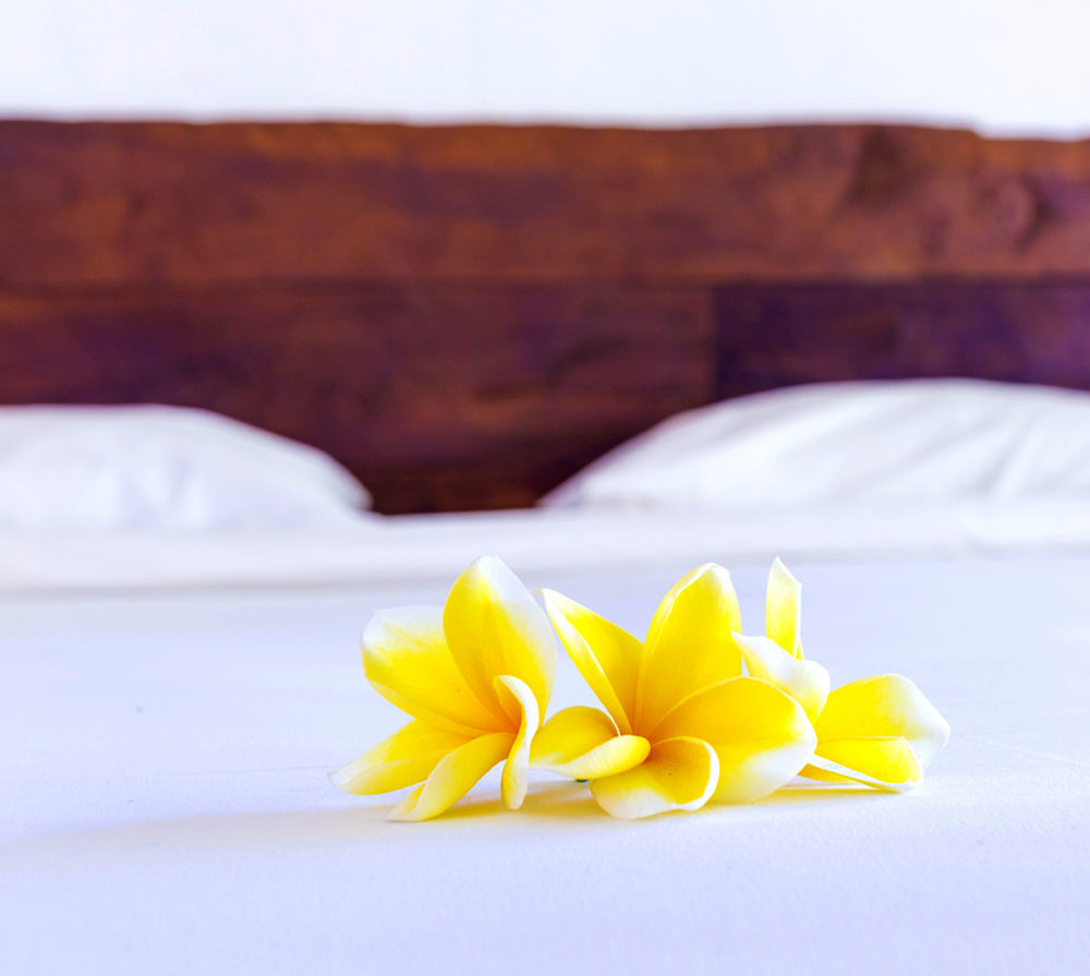 Big Brother Surf Inn Canggu Dış mekan fotoğraf