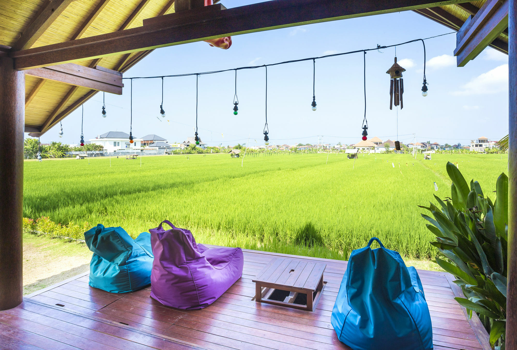 Big Brother Surf Inn Canggu Dış mekan fotoğraf