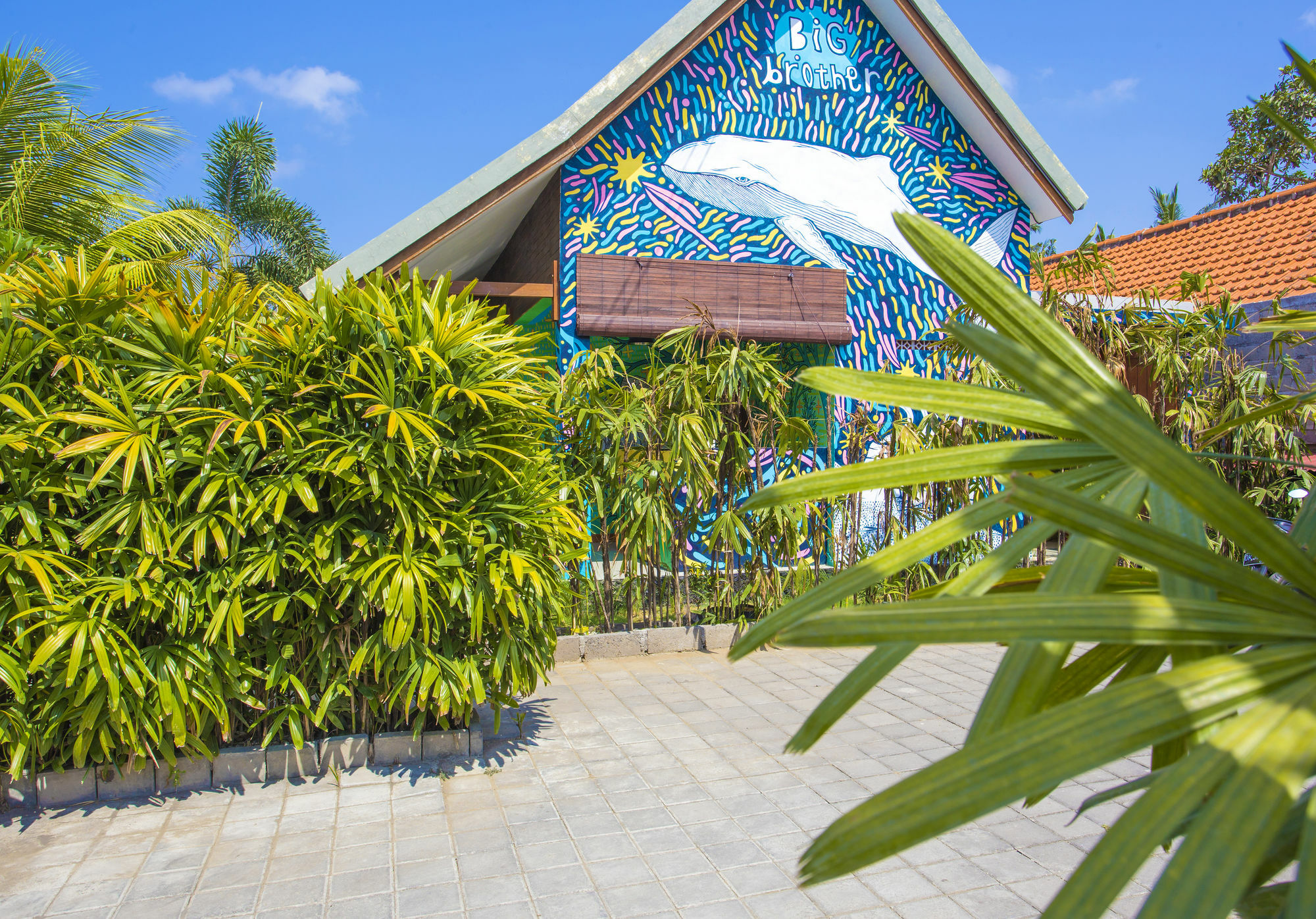Big Brother Surf Inn Canggu Dış mekan fotoğraf