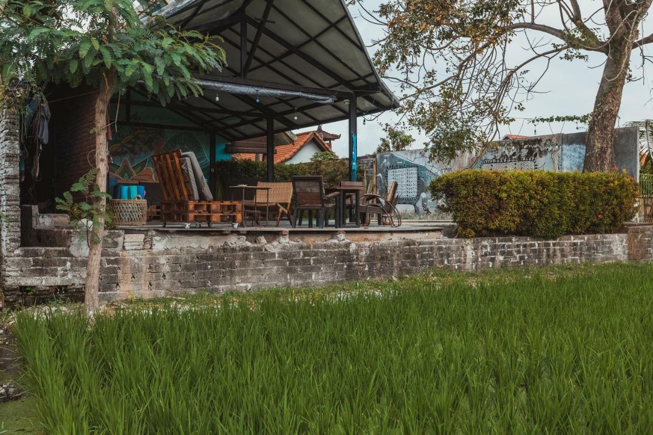 Big Brother Surf Inn Canggu Dış mekan fotoğraf